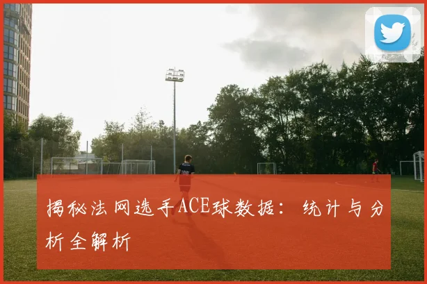 揭秘法网选手ACE球数据:统计与分析全解析