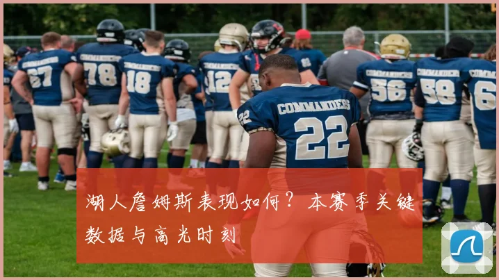 湖人詹姆斯表现如何？本赛季关键数据与高光时刻