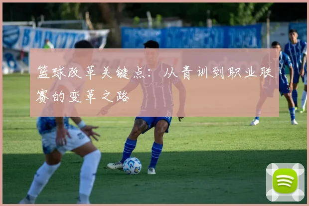 篮球改革关键点:从青训到职业联赛的变革之路